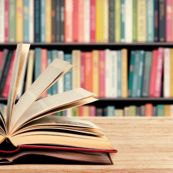 Self Development Book for You